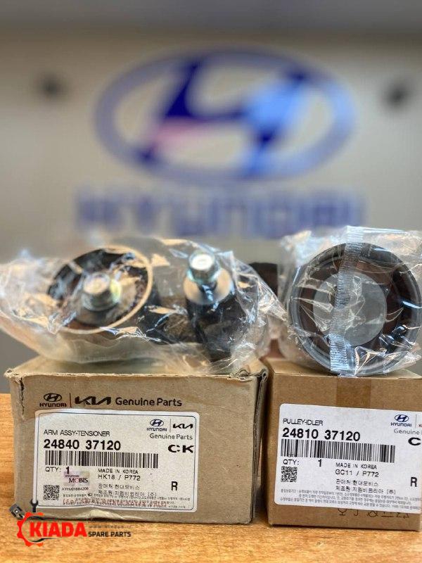 هرزگرد تایم توسان 